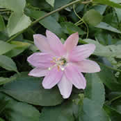 spiritual retreat center